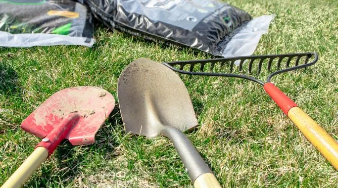 Efficient Leaf Removal Tips for a Clean Yard 2 Efficient Leaf Removal Tips for a Clean Yard 1
