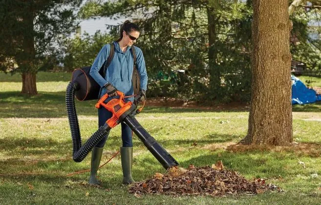 Efficient Leaf Removal Tips for a Clean Yard 4 Efficient Leaf Removal Tips for a Clean Yard 3