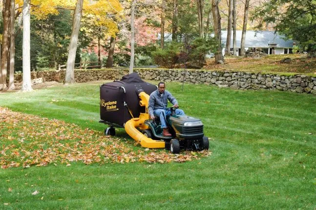 Efficient Leaf Removal Tips for a Clean Yard 5 Efficient Leaf Removal Tips for a Clean Yard 4