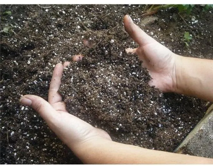 How to Restore Your Lawn After Winter Damage A Step by Step Guide 4
