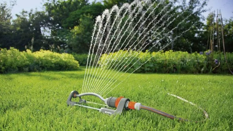 How to Restore Your Lawn After Winter Damage A Step by Step Guide 5