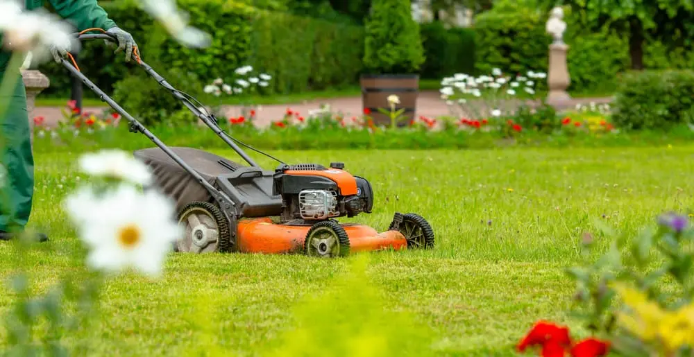 How to Restore Your Lawn After Winter Damage A Step by Step Guide 6