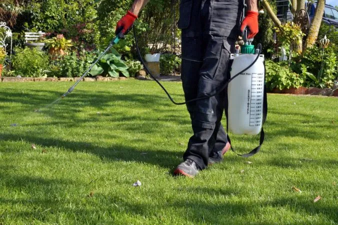 Lawn Care for Beginners Everything You Need to Know 5