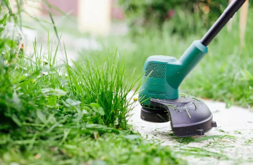 Lawn Care for Beginners Everything You Need to Know 6