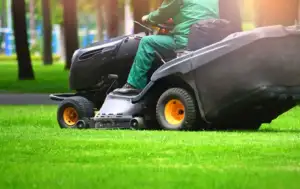 The Key to a Lush and Healthy Lawn Why Regular Mowing Matters