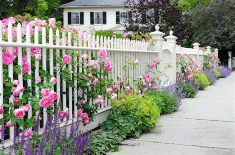 Find the Right Fence Easy Tips and Top Choices for Your Property 4