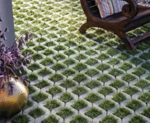 Permeable Pavers: The Game-Changing Eco-Friendly Way to Manage Stormwater