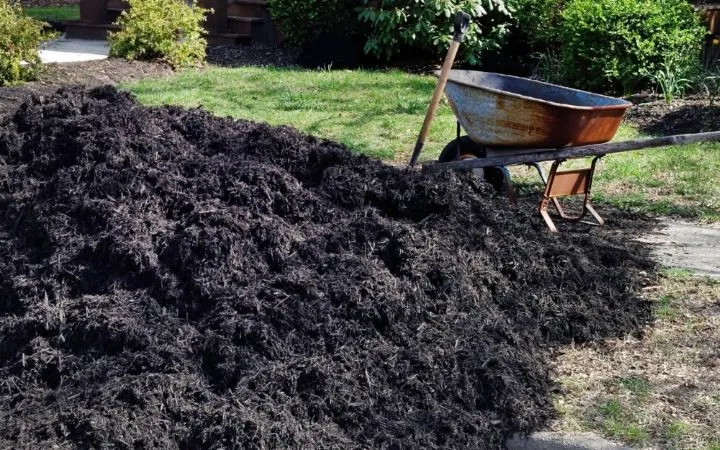 Your Guide to Effective Mulching for Lawn and Garden Health 4