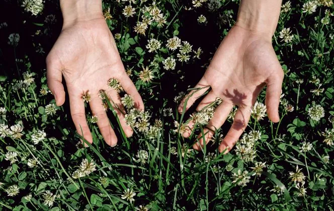 9 Surprising Benefits of Regular Lawn Mowing and Why It Matters 4