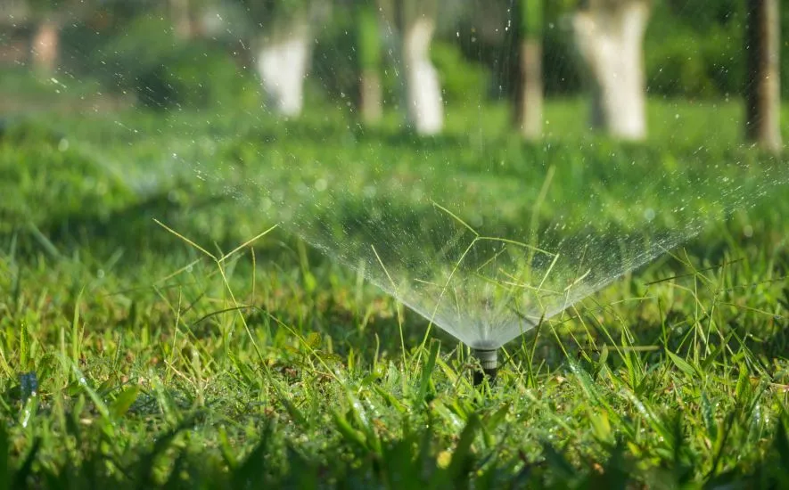 The Best Watering Schedule for a Healthy Summer Lawn 4