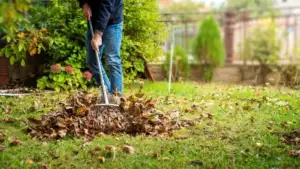 Essential November Lawn Care Checklist for a Healthy Winter Yard