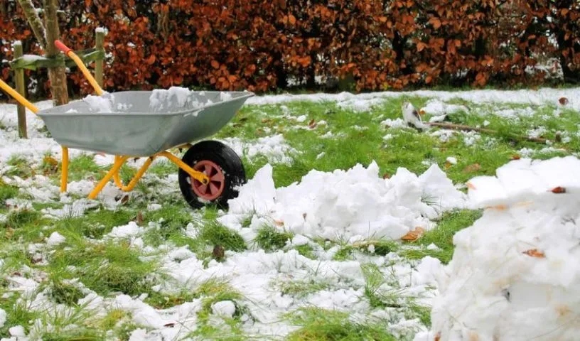 Winter Lawn Care Guide: Prep Your Yard for Cold Weather Now and a Greener Spring Later 1 Winter Lawn Care Guide Prep Your Yard for Cold Weather Now and a Greener Spring Later